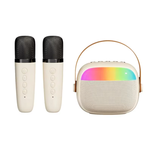 ROYCHE Dual Microphones with Speaker for Party - BTS-520M (Wireless)